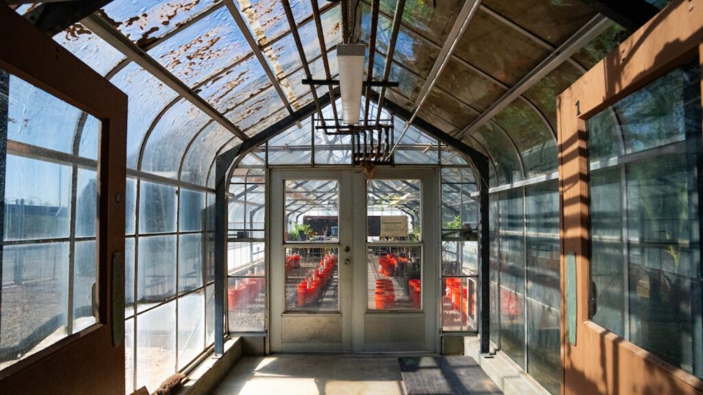 Wide shot of the inside of a greenhouse with planted projects in view behind closed glass doors