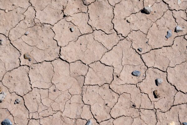 Close-up image of cracked soil with pebbles on it