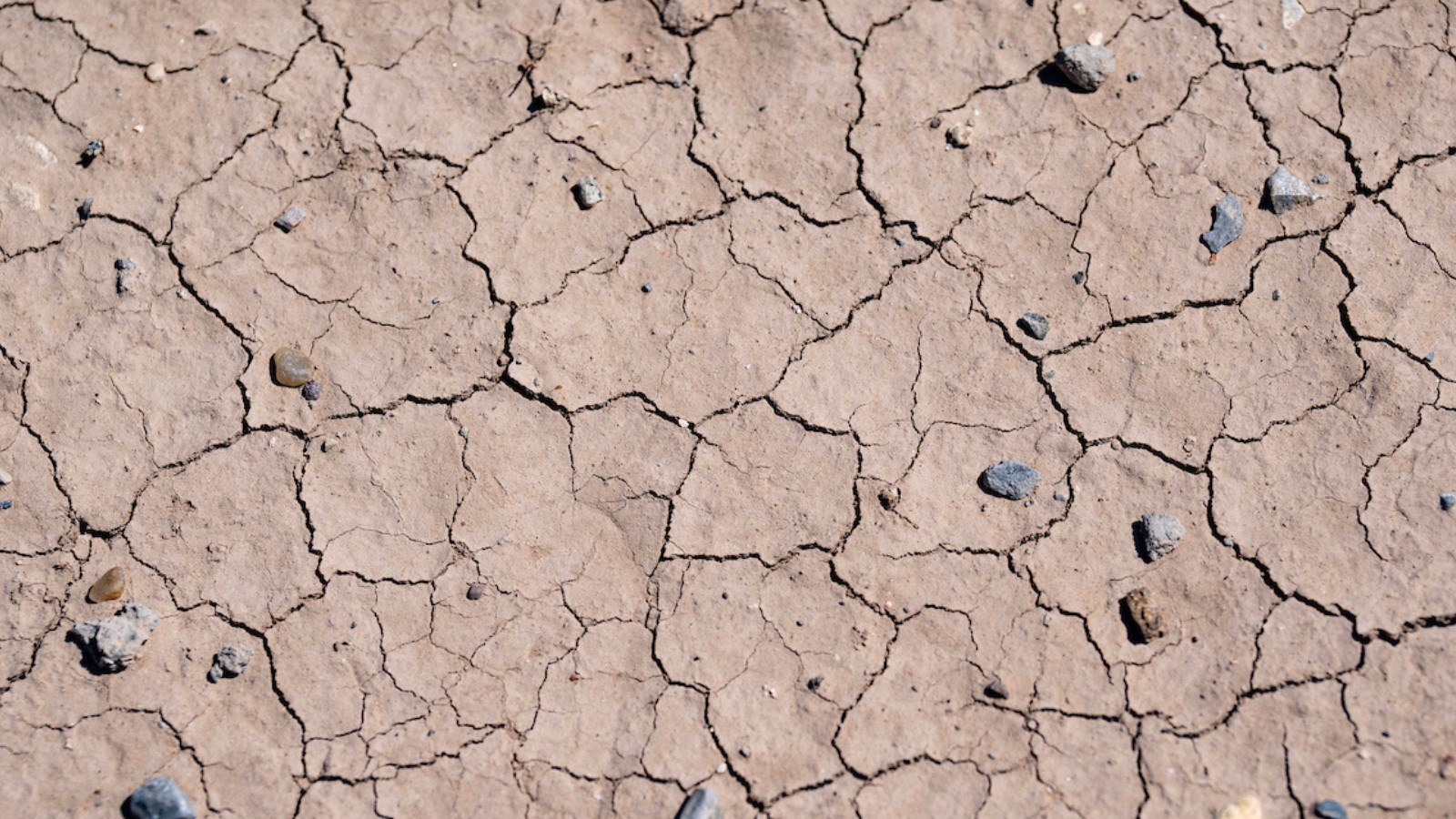 Close-up image of cracked soil with pebbles on it